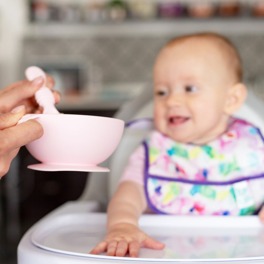 Bumkins Suction Silicone Baby Feeding Set, Bowl, Lid, Spoon, - Chicago  Feeding Group